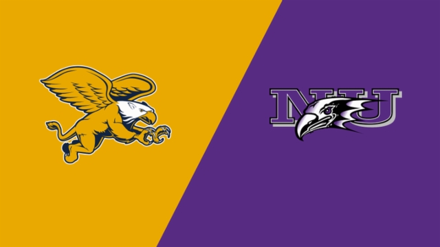 伤病与失败 伤病与失败