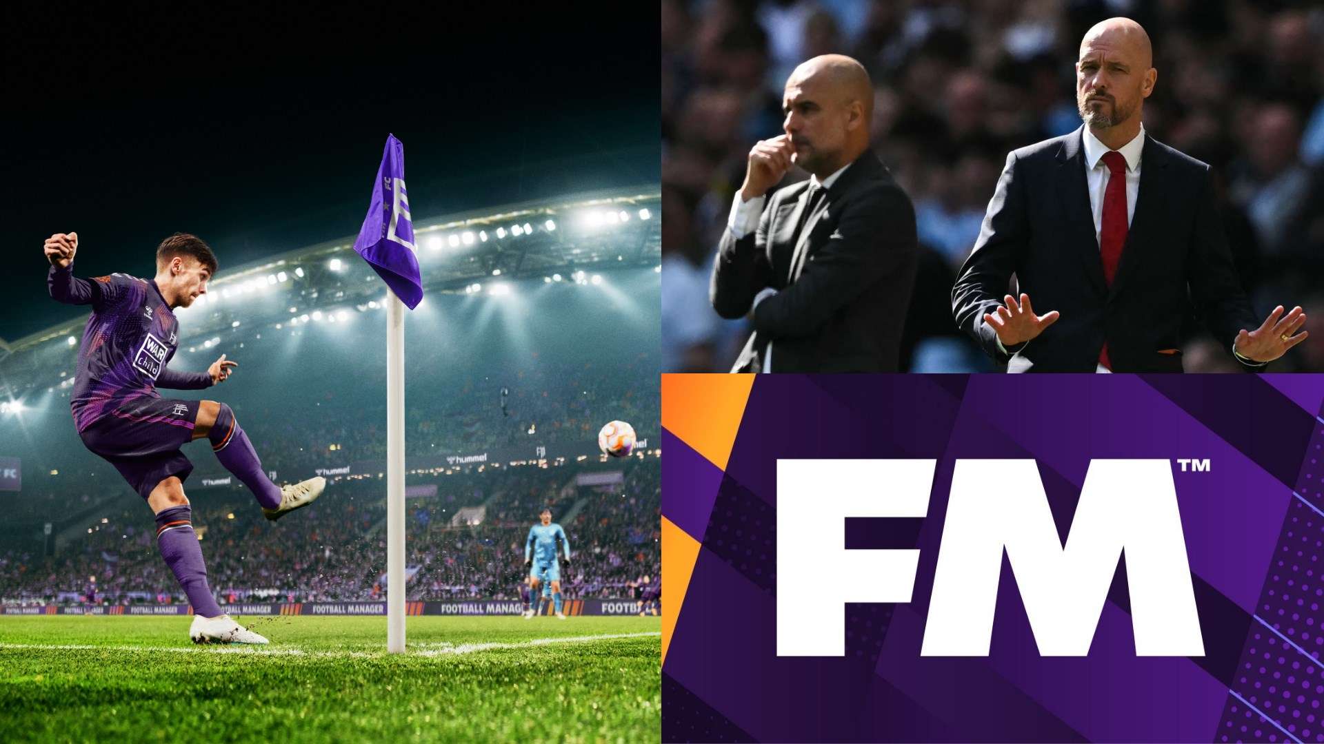 他的身体素 他的身体素